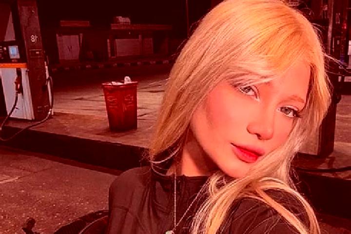 Stella, 23 — Escort in Irani, Brazil