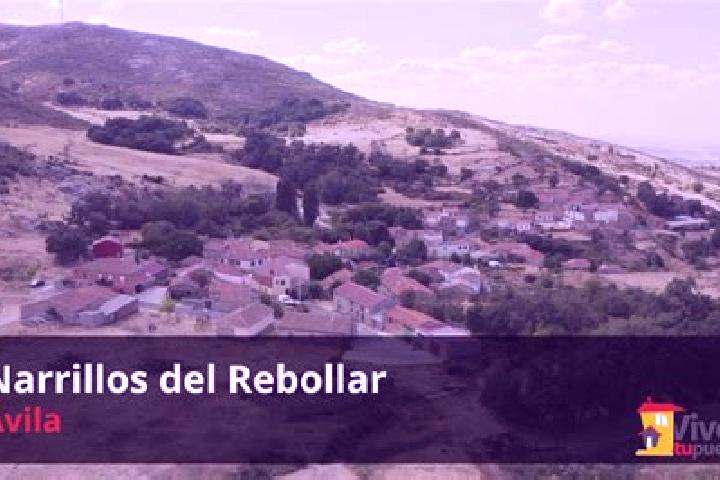 Stella, 23 — Escort in Narrillos del Rebollar, Spain