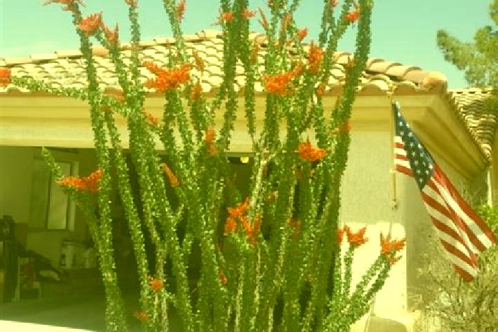 Stella, 23 — Escort in Ocotillo, Mexico