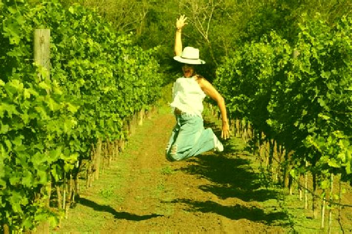 Stella, 23 — Escort in Vinedos Rivier, Mexico