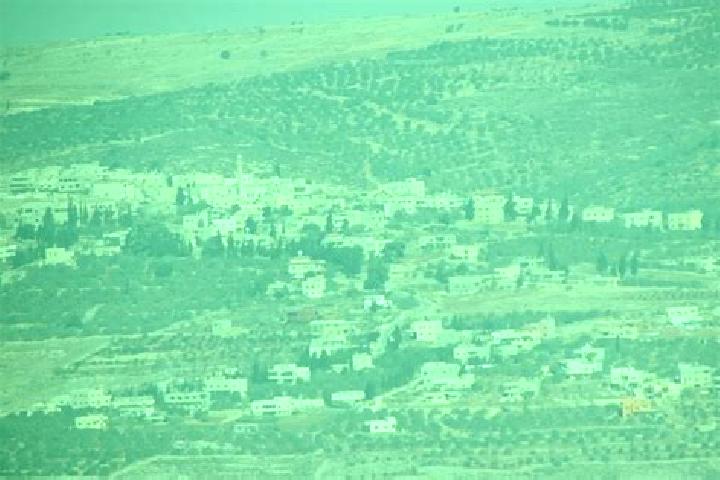 Stella, 23 — Escort in Yasid, Palestine