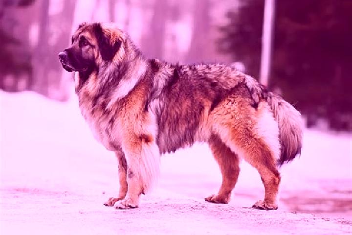 Stella, 24, a black brown-eyed caucasian companion based in Zol noye. Offering Roleplay, 69, Girlfriend Experience. Available for incall and outcall, overnig...