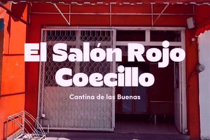 Stella, 24 — Escort in Coecillo, Mexico