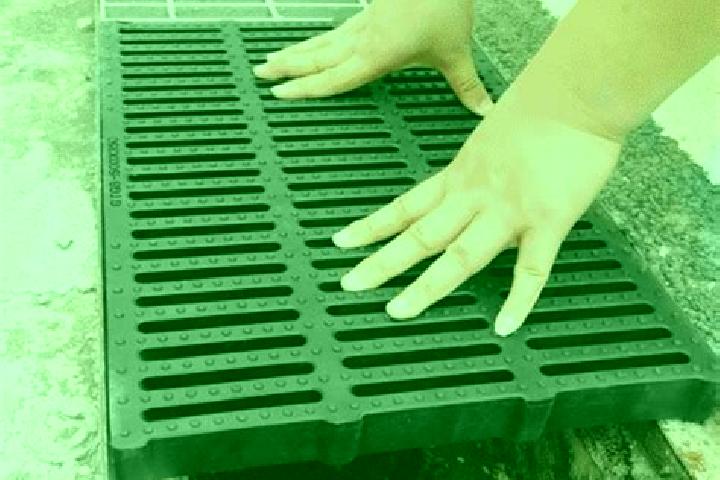 Stella, 24 — Escort in Drain, France