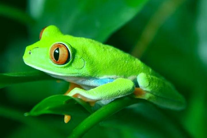 Stella, 25, a red green-eyed mixed companion based in Plimmerton. Offering Dinner Date, 69, GFE, A-Level. Available for incall and outcall, day and evening d...
