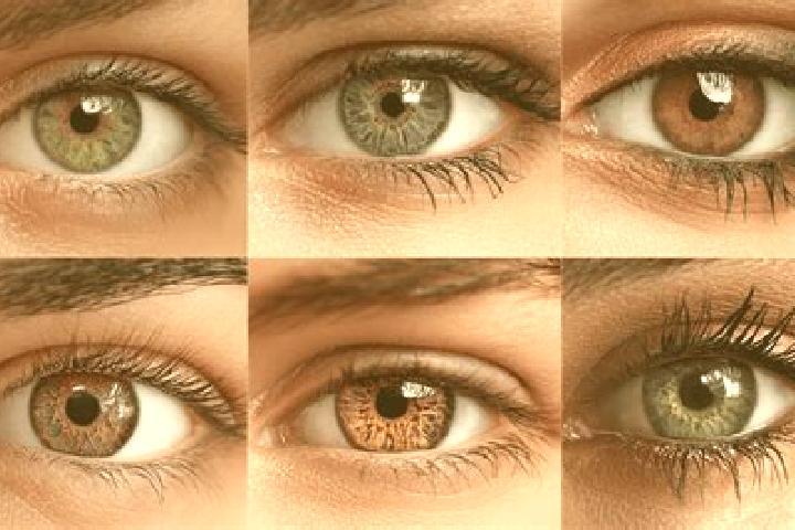 Stella, 25, a red hazel-eyed caucasian companion based in Chelford. Offering A-Level, OWO, CIM, Dinner Date, Fetish. Available for incall and outcall, overni...