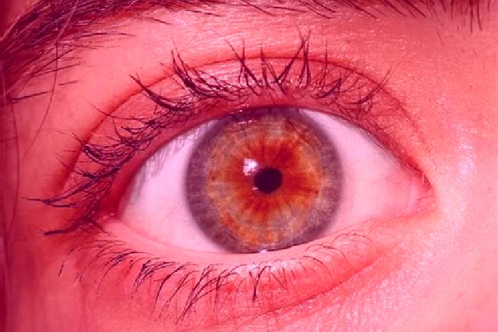 Stella, 25, a red hazel-eyed mediterranean companion based in Ado-Odo. Offering Massage, A-Level, Prostate Massage. Available for incall and outcall, day and...