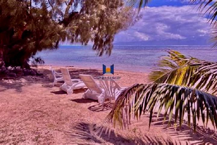 Stella, 25 — Escort in Afareaitu, French Polynesia
