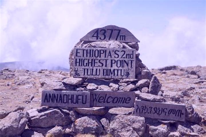 Stella, 25 — Escort in Dimtu, Ethiopia