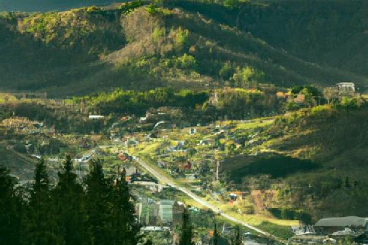 Stella, 25 — Escort in Roan Mountain, United States