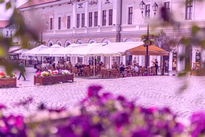 Stella, 26 — Escort in Alsozsolca, Hungary