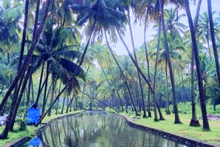 Stella, 26 — Escort in Kunnamkulam, India
