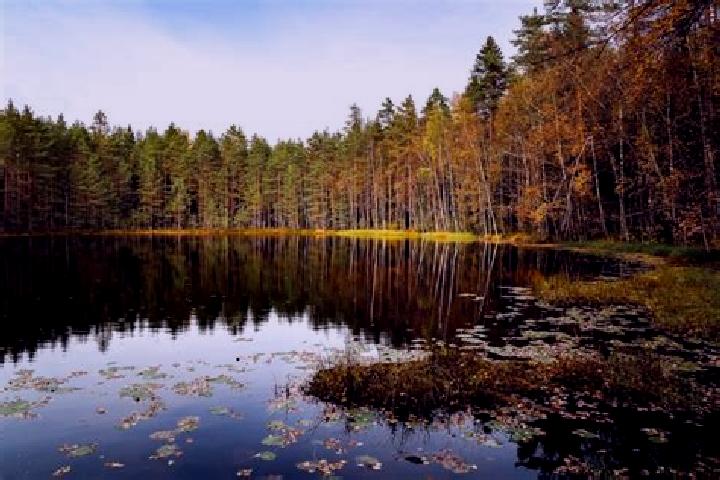 Stella, 26 — Escort in Leivonmaeki, Finland