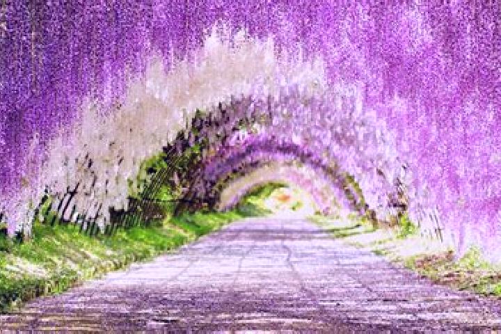 Stella, 26 — Escort in Munakata, Japan