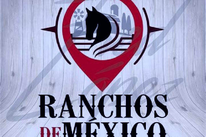 Stella, 26 — Escort in Ranchos Unidos, Mexico