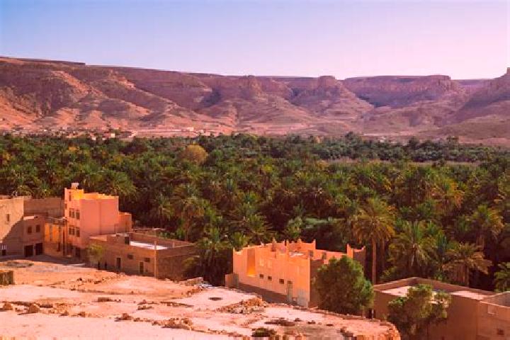 Stella, 26 — Escort in Zagora, Morocco
