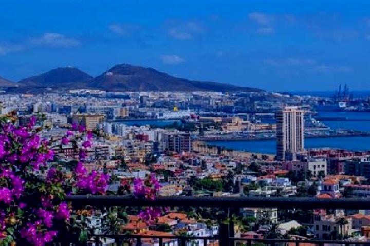 Stella, 27 — Escort in Plan de las Palmas, Mexico