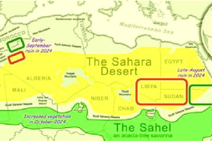 Stella, 28 — Escort in El Aargub, Western Sahara