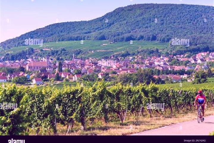 Stella, 28 — Escort in Orschwihr, France