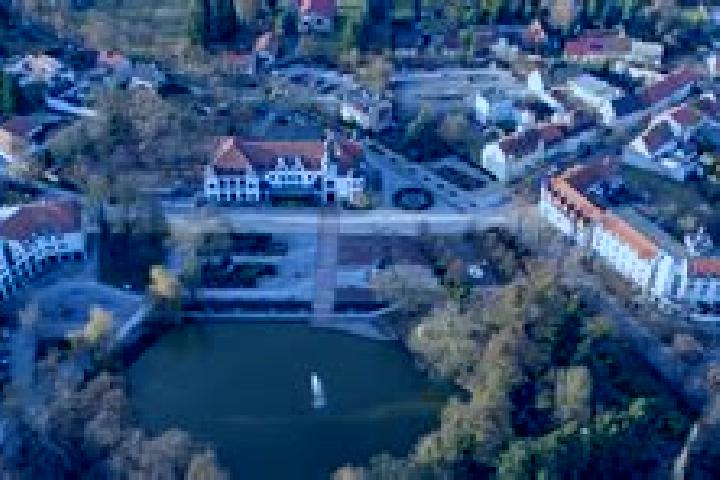 Stella, 29 — Escort in Bad Schmiedeberg, Germany