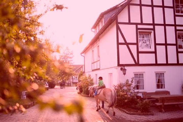 Stella, 29 — Escort in Koennern, Germany