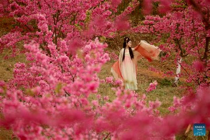 Stella, 29 — Escort in Quchi, China