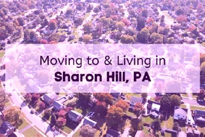 Stella, 29 — Escort in Sharon Hill, United States
