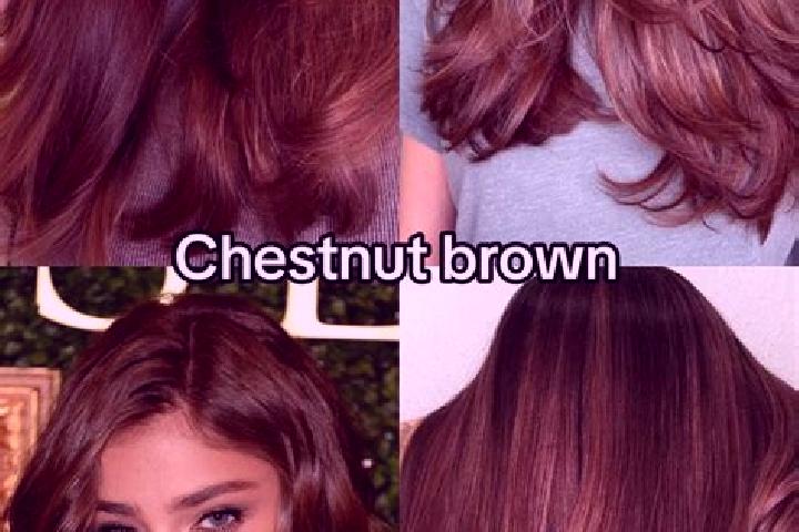 Stella, 30, a chestnut brown-eyed indian companion based in Ostroznica. Offering Girlfriend Experience, Couples, A-Level. Available for incall and outcall, d...