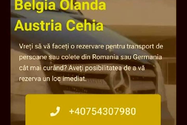 Stella, 30 — Escort in Schitu Poienari, Romania