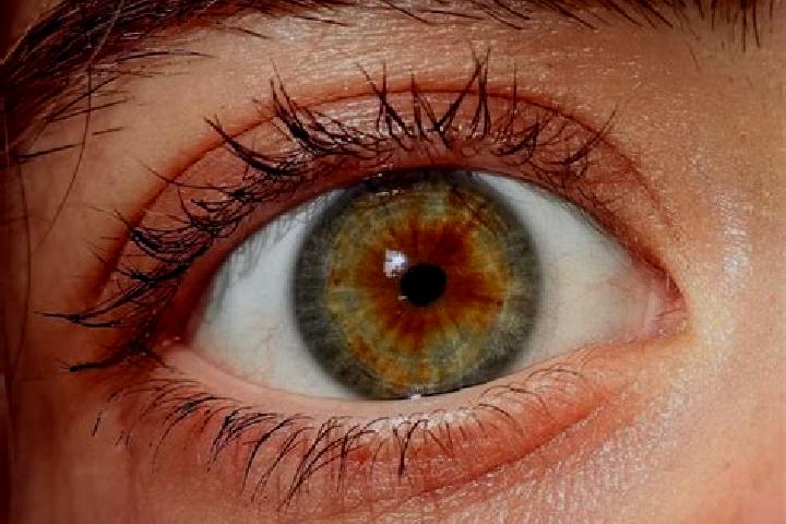 Stella, 31, a red hazel-eyed european companion based in Ilapo. Offering Fetish, Domination, Roleplay, GFE. Available for incall and outcall, overnight booki...
