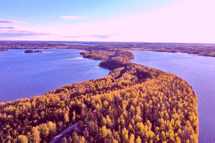 Stella, 31 — Escort in Joroinen, Finland