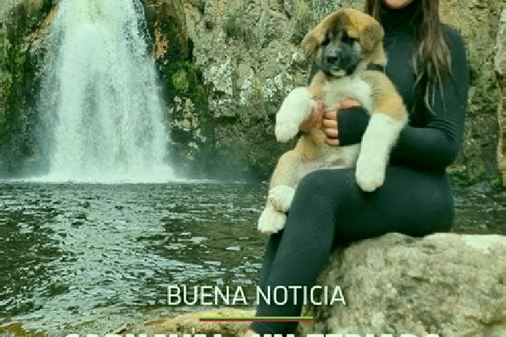 Stella, 31 — Escort in Joseguango Bajo, Ecuador