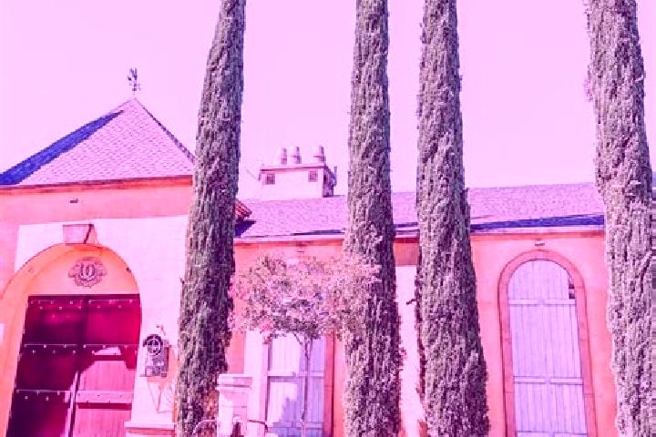 Stella, 31 — Escort in Los Olivos, United States