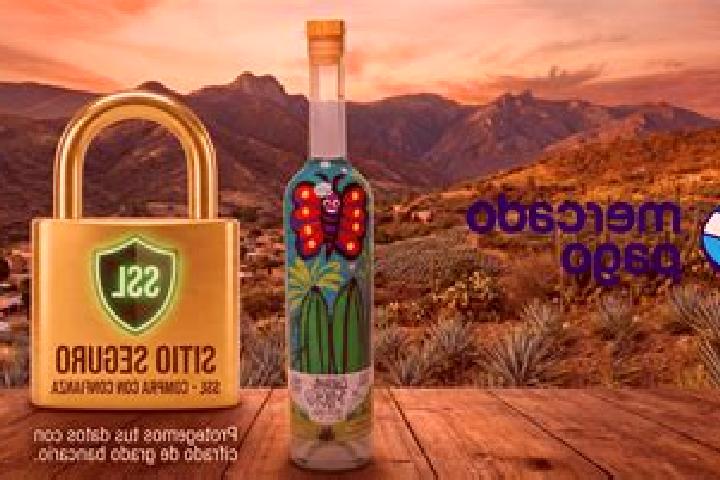 Stella, 31 — Escort in Mezcales, Mexico