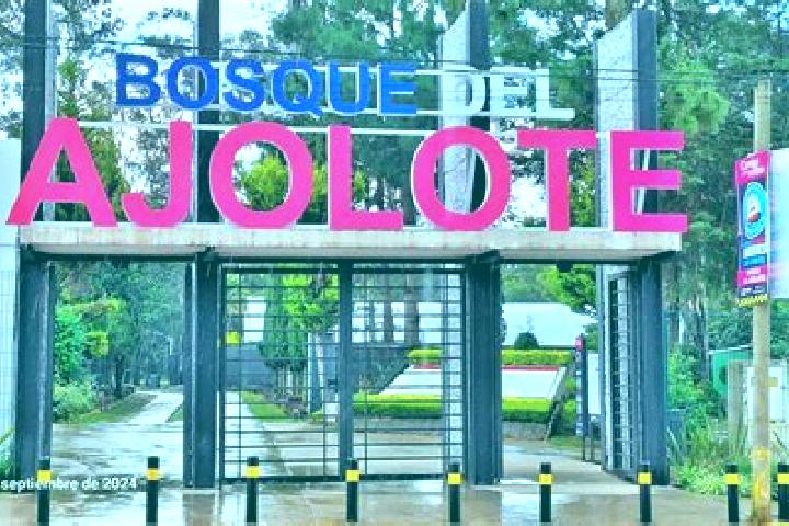 Stella, 31 — Escort in Santa Maria Xonacatepec, Mexico