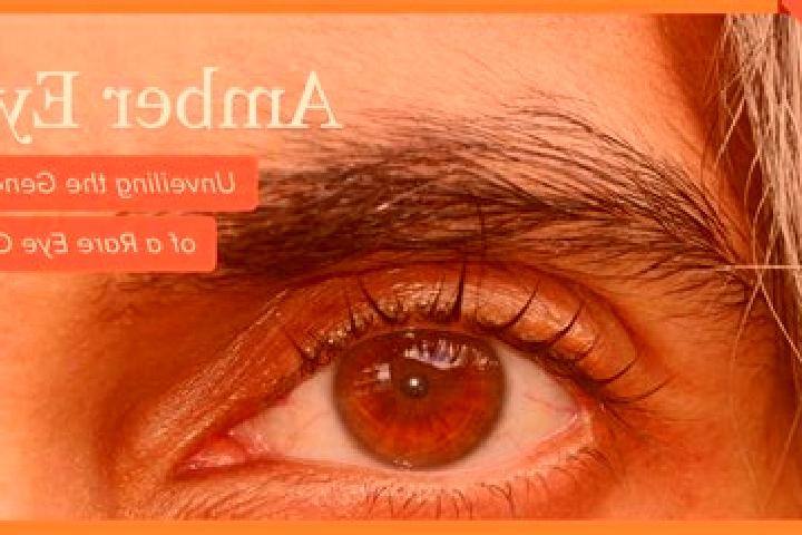 Stella, 33, a black amber-eyed mixed companion based in Iacu. Offering A-Level, Girlfriend Experience, Massage, Fetish. Available for incall and outcall, ove...