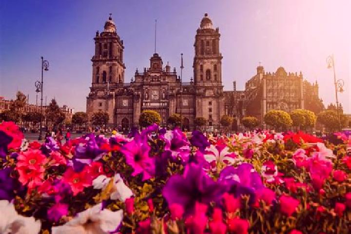 Stella, 33 — Escort in Ciudad de Armeria, Mexico