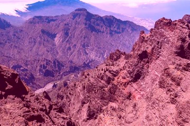 Stella, 33 — Escort in La Palma, Mexico