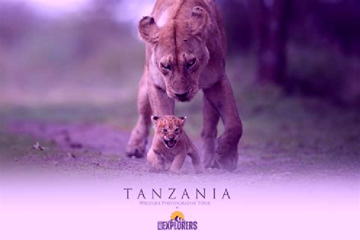 Stella, 33 — Escort in Masuguru, Tanzania
