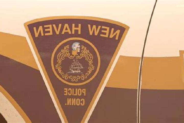 Stella, 33 — Escort in North Haven, United States