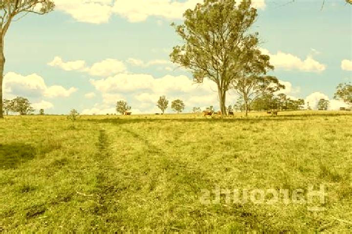 Stella, 33 — Escort in Pheasants Nest, Australia