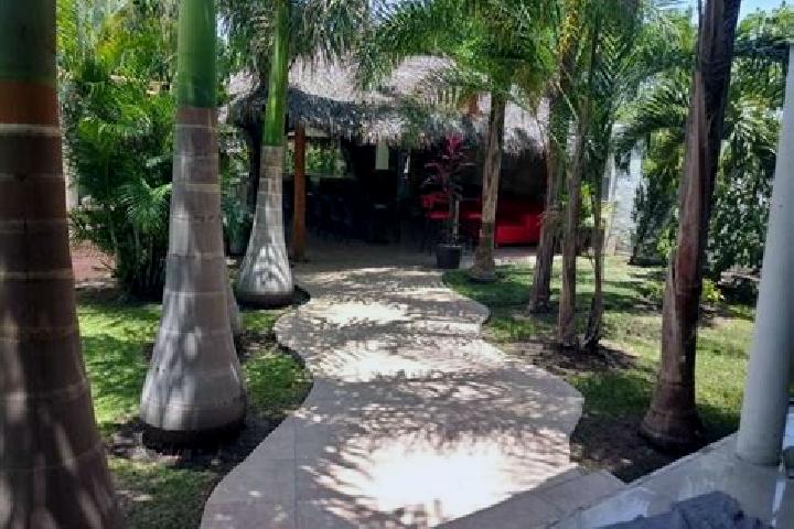 Stella, 33 — Escort in Tetecalita, Mexico