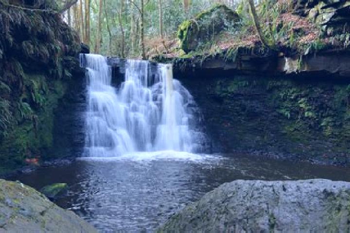 Stella, 34 — Escort in Bradford Woods, United States