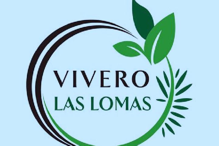 Stella, 34 — Escort in Fronton Vivero, Mexico