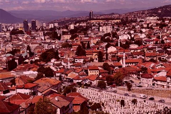 Stella, 34 — Escort in Sarajevo, Bosnia and Herzegovina