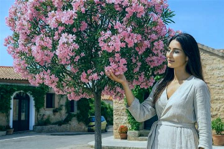 Stella, 34 — Escort in Sernhac, France