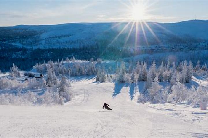 Stella, 34 — Escort in Vemdalen, Sweden