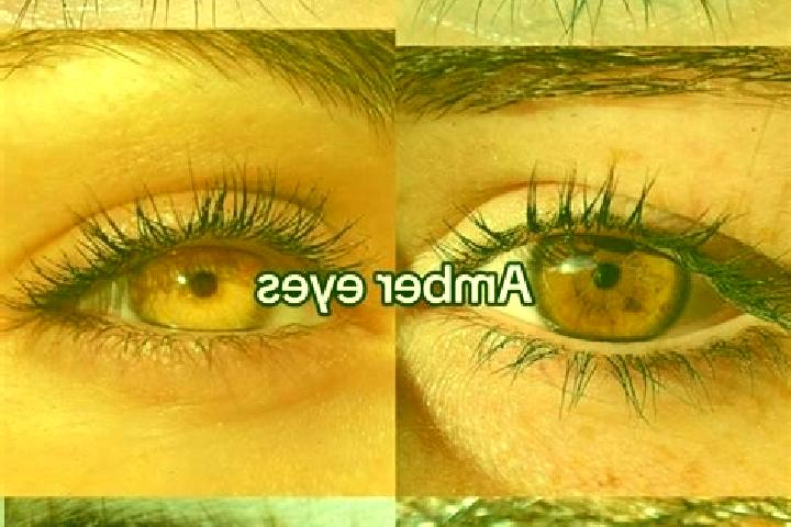 Stella, 35, a chestnut amber-eyed ebony companion based in Walterschen. Offering GFE, OWO, A-Level, Dinner Date. Available for incall and outcall, day and ev...