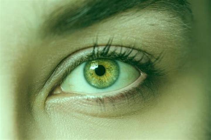 Stella, 35, a chestnut hazel-eyed mixed companion based in Baap. Offering Overnight, Striptease, Tantra. Available for incall and outcall, overnight bookings...