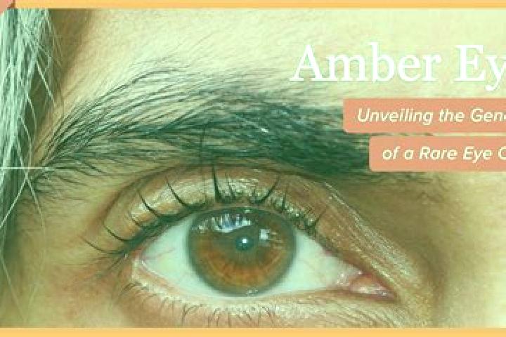 Stella, 35, a red amber-eyed mixed companion based in Wilberforce. Offering CIM, BDSM, Duos, Girlfriend Experience. Available for incall and outcall, day and...